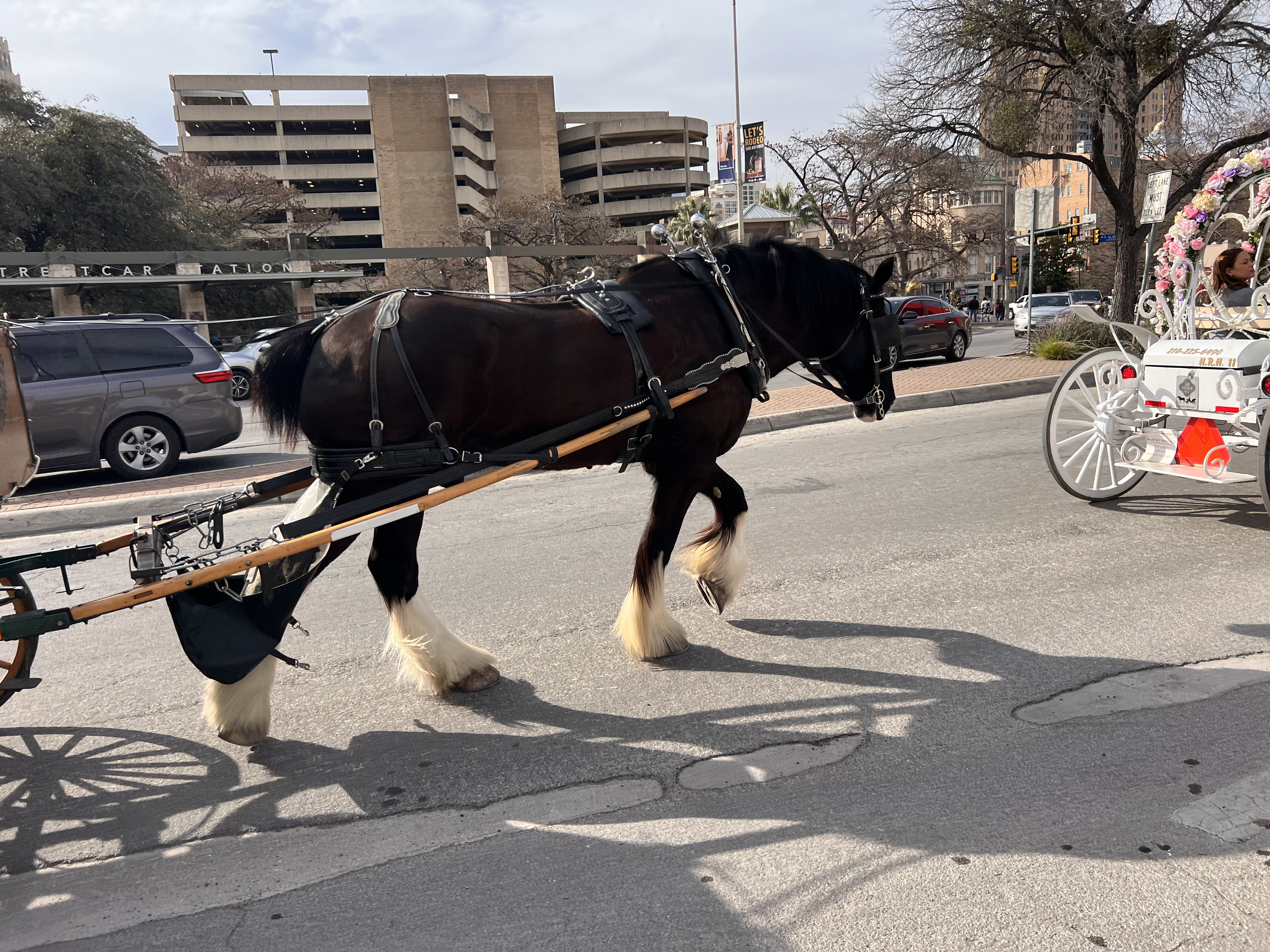 ./2023/02 - Texas/IMG_6755(1).jpg